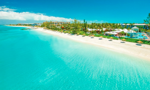 Turks Caicos Dalış Rehberi